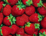 Как сварить вкусное варенье из клубники